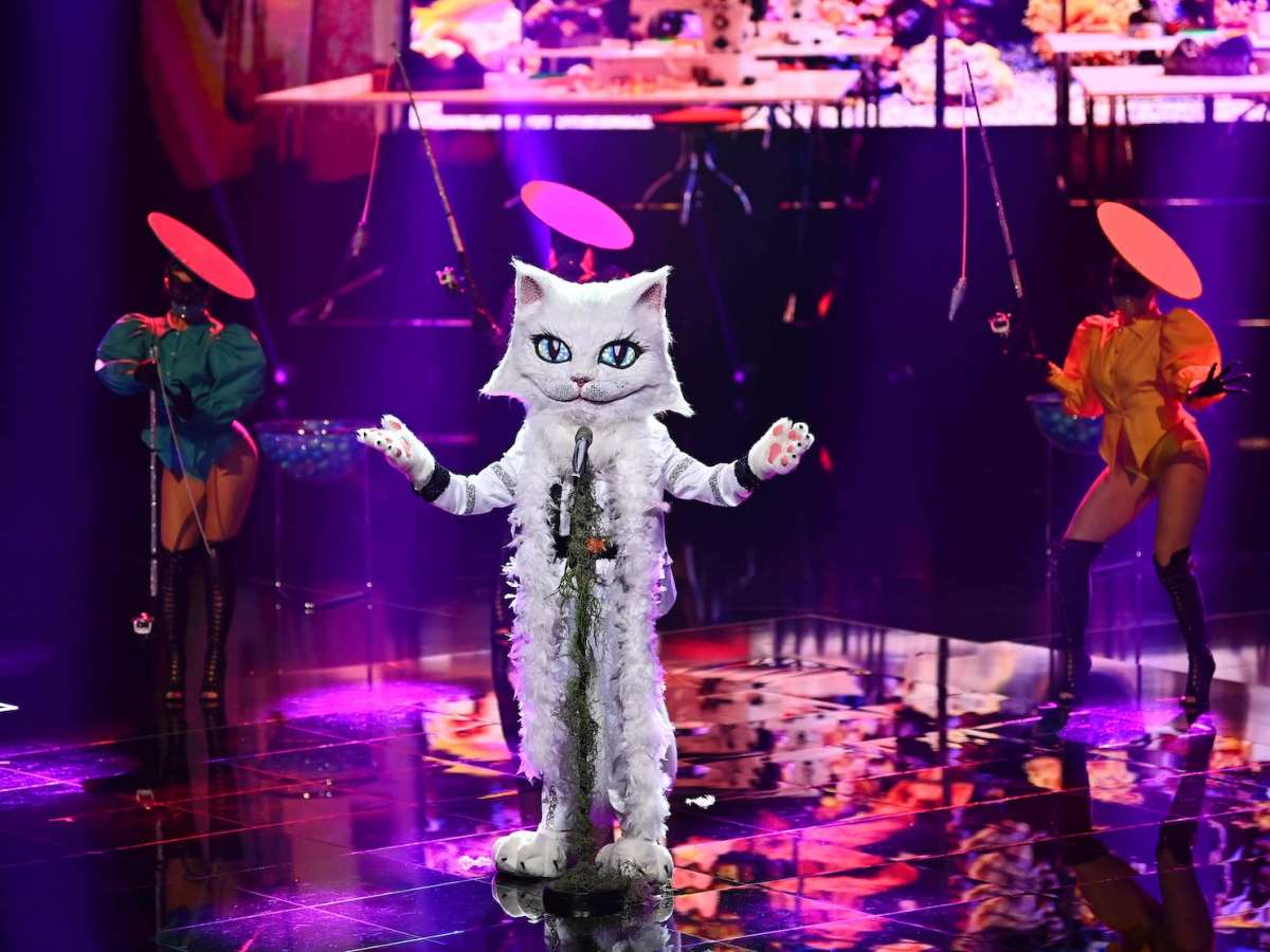 Katze bei "The Masked Singer"