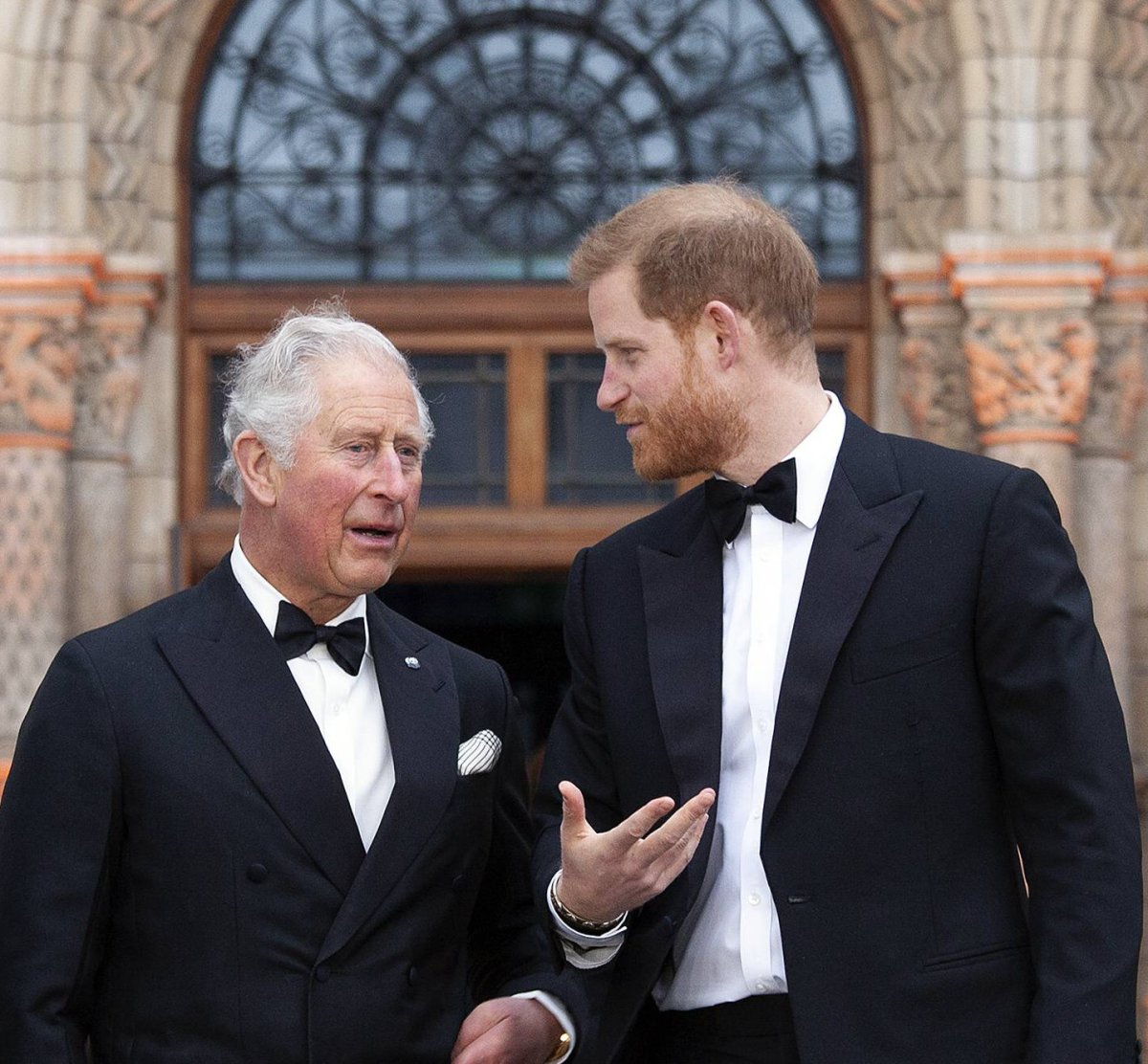 Prinz Charles und Prinz Harry